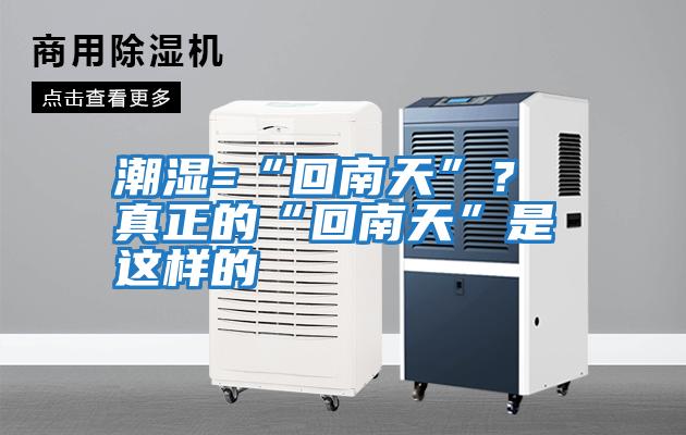 潮濕=“回南天”？ 真正的“回南天”是這樣的