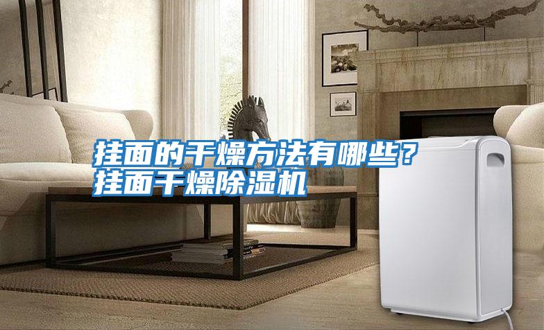 掛面的干燥方法有哪些？ 掛面干燥除濕機