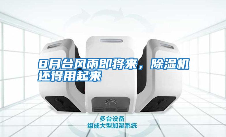 8月臺風雨即將來，除濕機還得用起來