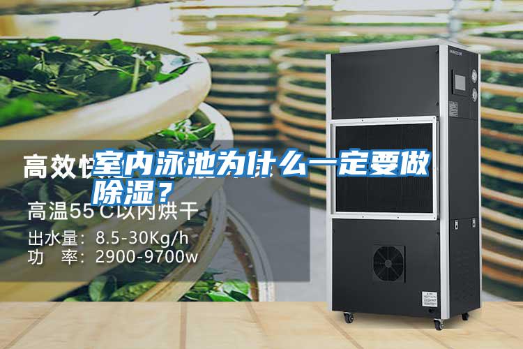 室內泳池為什么一定要做除濕？