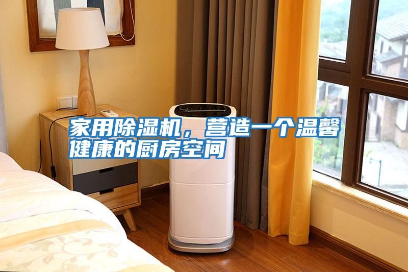 家用除濕機，營造一個溫馨健康的廚房空間