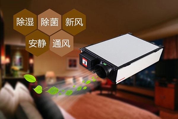 想要除菌殺毒？空氣凈化器可以幫忙