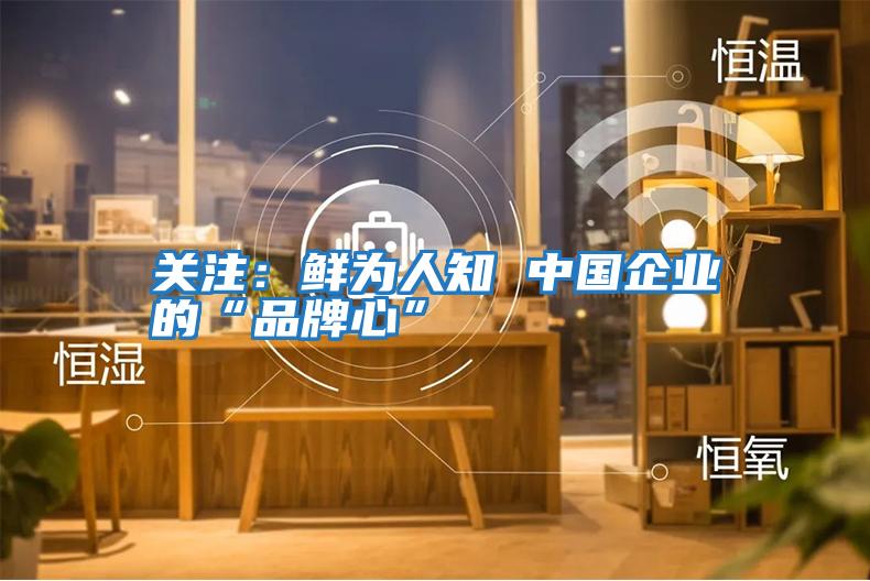 關(guān)注：鮮為人知 中國(guó)企業(yè)的“品牌心”