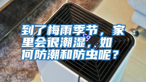 到了梅雨季節，家里會很潮濕，如何防潮和防蟲呢？