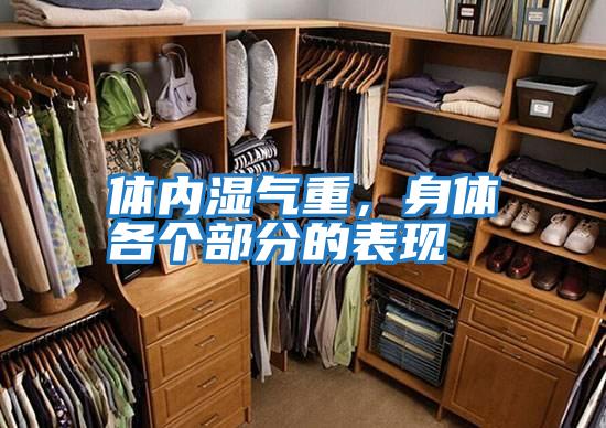 體內濕氣重，身體各個部分的表現