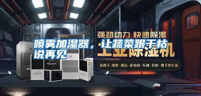 噴霧加濕器，讓蔬菜跟干枯說再見