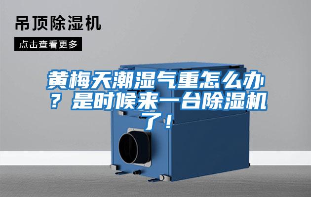 黃梅天潮濕氣重怎么辦？是時(shí)候來一臺除濕機(jī)了！