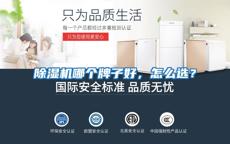 除濕機哪個牌子好，怎么選？
