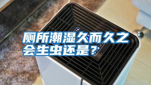 廁所潮濕久而久之會(huì)生蟲(chóng)還是？