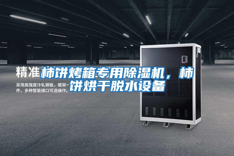 柿餅烤箱專(zhuān)用除濕機(jī)，柿餅烘干脫水設(shè)備