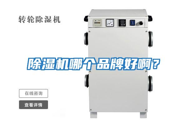 除濕機哪個品牌好啊？