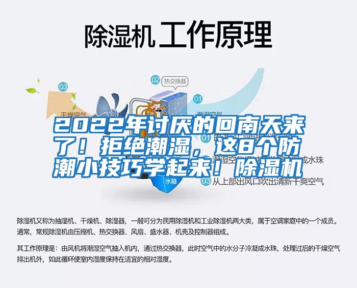 2022年討厭的回南天來了！拒絕潮濕，這8個防潮小技巧學起來！除濕機