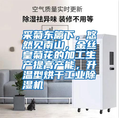 采菊東籬下，悠然見南山，金絲皇菊花的加工生產提高產能，升溫型烘干工業除濕機