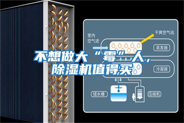 不想做大“霉”人，除濕機值得買