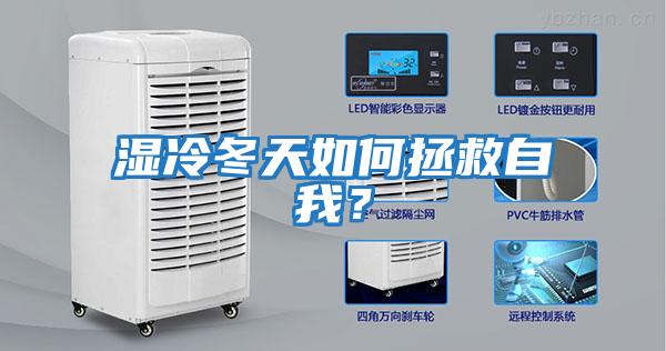 濕冷冬天如何拯救自我？