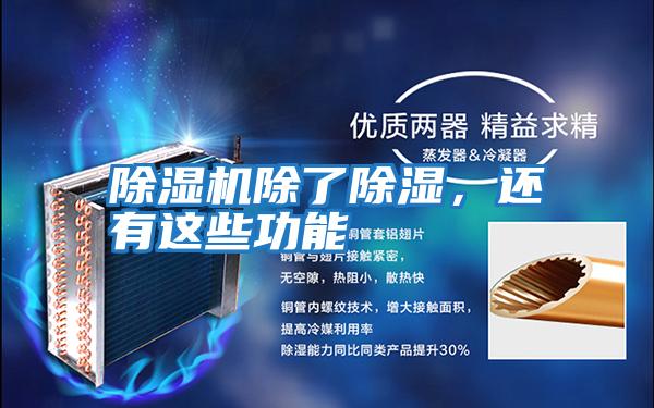 除濕機除了除濕，還有這些功能