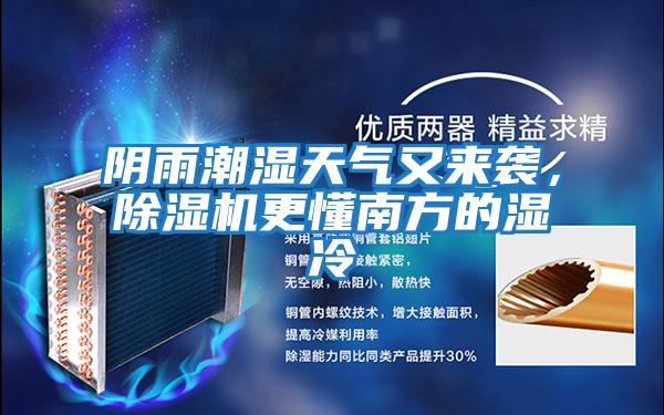 陰雨潮濕天氣又來襲，除濕機更懂南方的濕冷