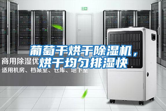 葡萄干烘干除濕機，烘干均勻排濕快