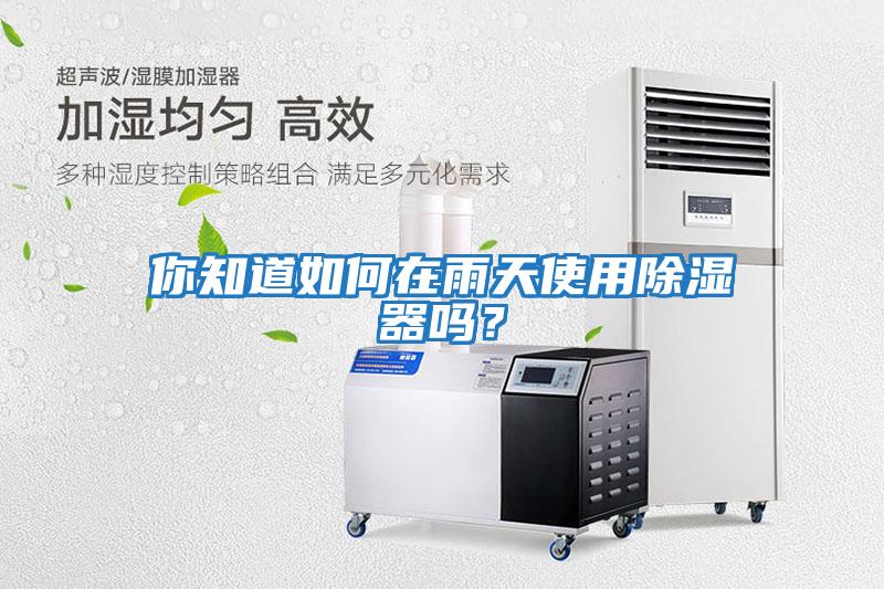 你知道如何在雨天使用除濕器嗎？