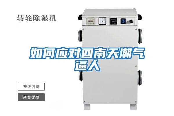 如何應(yīng)對(duì)回南天潮氣逼人