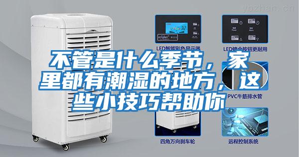 不管是什么季節(jié)，家里都有潮濕的地方，這些小技巧幫助你