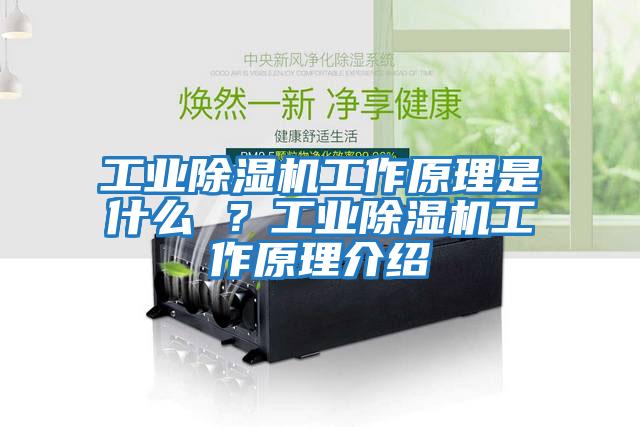 工業除濕機工作原理是什么 ？工業除濕機工作原理介紹