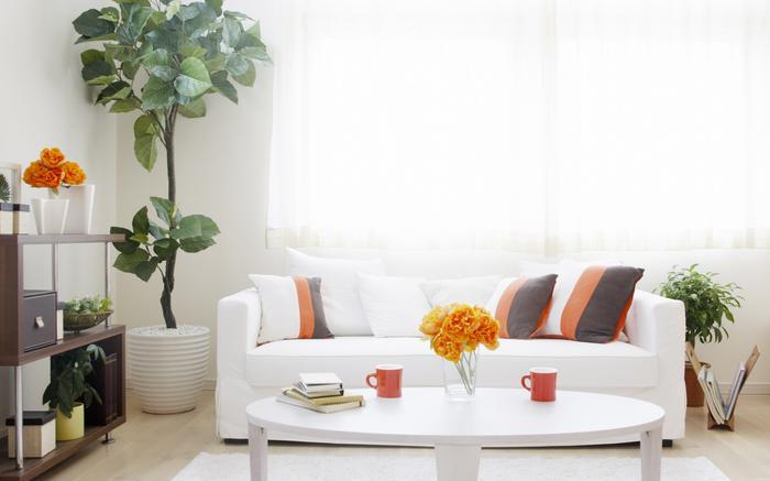 母嬰雙十一除濕機廣受追捧，買哪個好？