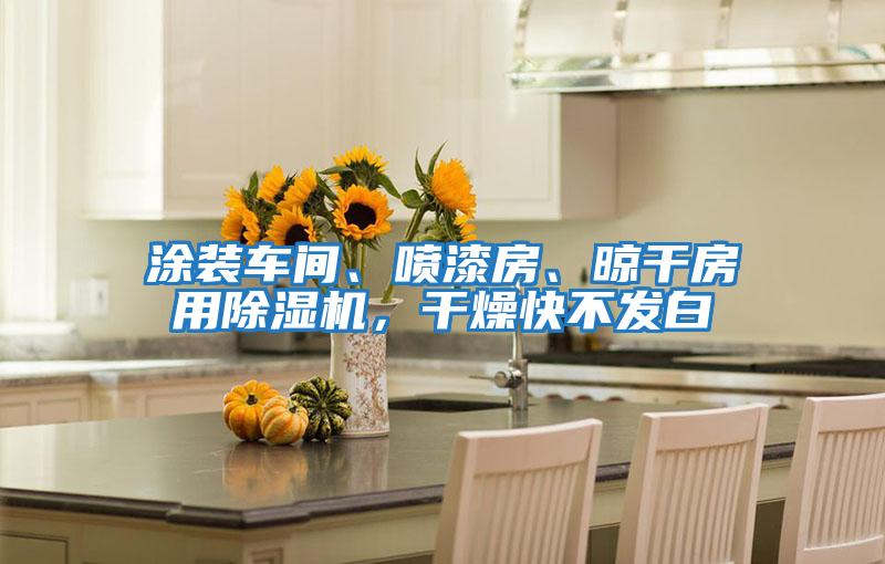 涂裝車間、噴漆房、晾干房用除濕機，干燥快不發白