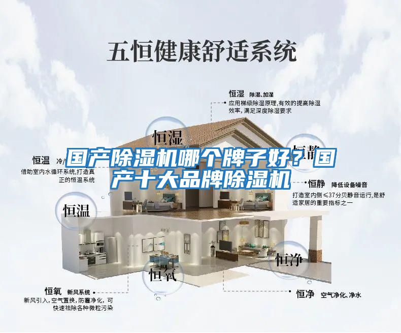 國(guó)產(chǎn)除濕機(jī)哪個(gè)牌子好？國(guó)產(chǎn)十大品牌除濕機(jī)