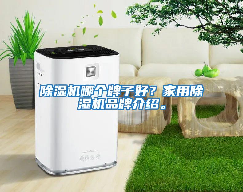 除濕機哪個牌子好？家用除濕機品牌介紹。