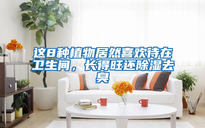 這8種植物居然喜歡待在衛(wèi)生間，長得旺還除濕去臭