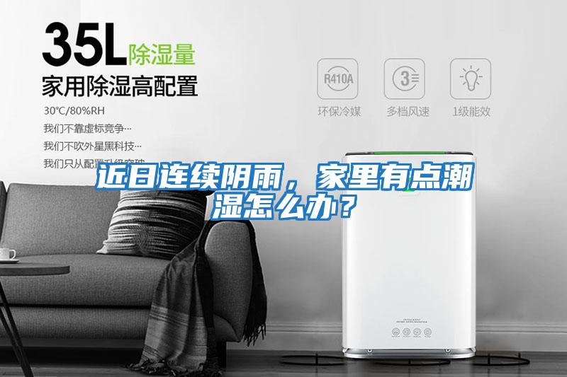 近日連續陰雨，家里有點潮濕怎么辦？