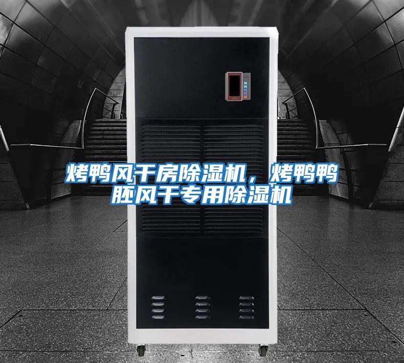 烤鴨風干房除濕機，烤鴨鴨胚風干專用除濕機