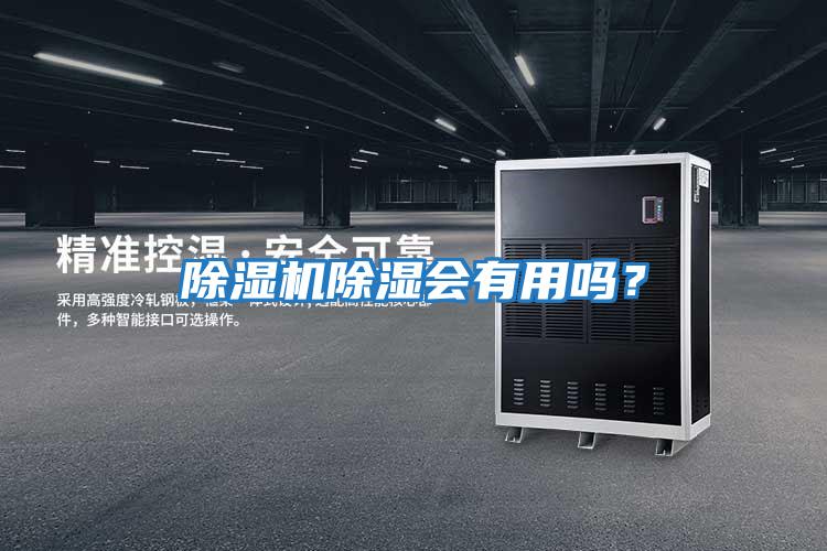 除濕機除濕會有用嗎？