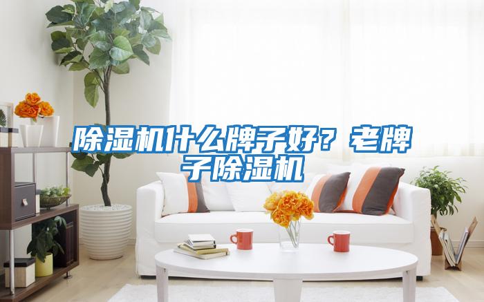 除濕機什么牌子好？老牌子除濕機