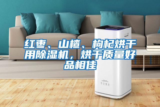 紅棗、山楂、枸杞烘干用除濕機(jī)，烘干質(zhì)量好品相佳