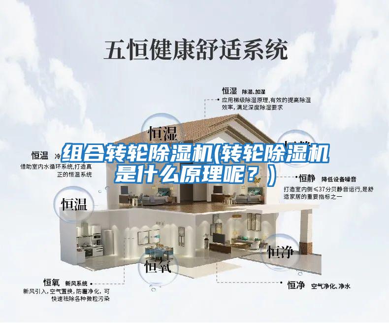 組合轉(zhuǎn)輪除濕機(jī)(轉(zhuǎn)輪除濕機(jī)是什么原理呢？)