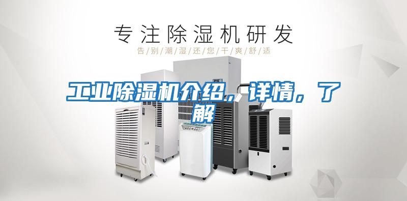 工業(yè)除濕機介紹，詳情，了解