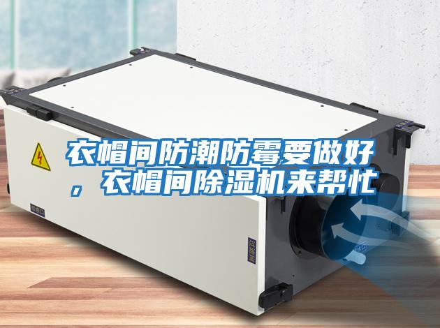 衣帽間防潮防霉要做好，衣帽間除濕機來幫忙