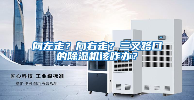 向左走？向右走？三叉路口的除濕機該咋辦？