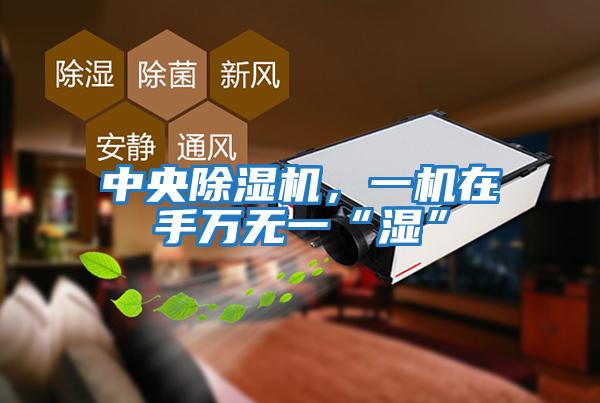 中央除濕機，一機在手萬無一“濕”