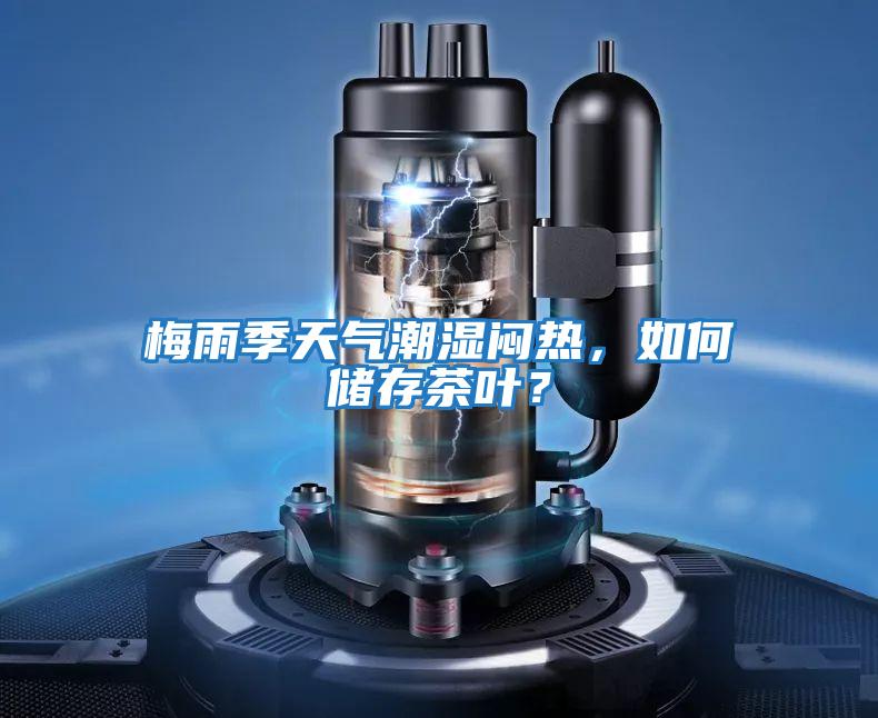 梅雨季天氣潮濕悶熱，如何儲存茶葉？
