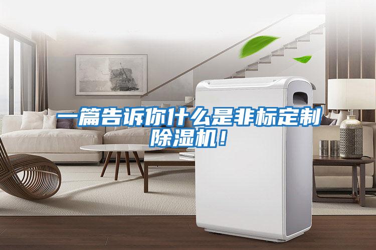 一篇告訴你什么是非標(biāo)定制除濕機(jī)！