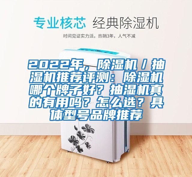 2022年，除濕機／抽濕機推薦評測：除濕機哪個牌子好？抽濕機真的有用嗎？怎么選？具體型號品牌推薦
