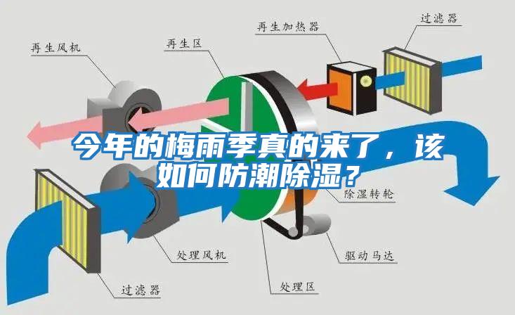 今年的梅雨季真的來了，該如何防潮除濕？