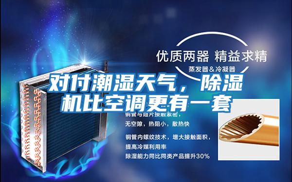 對付潮濕天氣，除濕機(jī)比空調(diào)更有一套