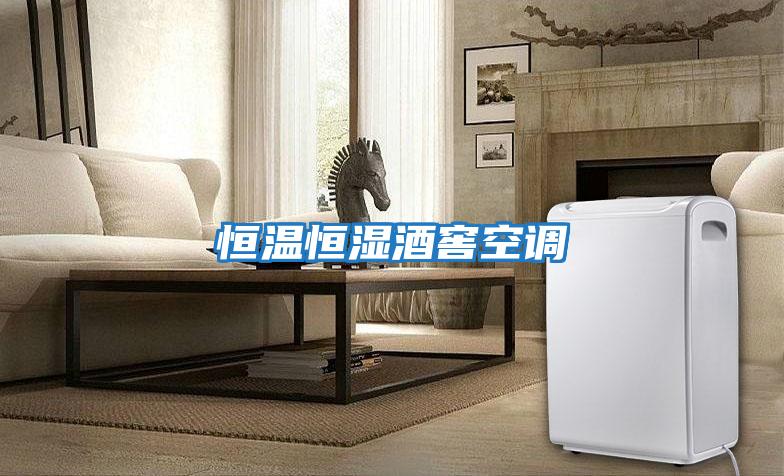 恒溫恒濕酒窖空調