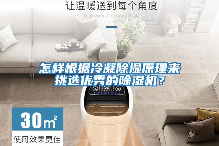 怎樣根據冷凝除濕原理來挑選優秀的除濕機？