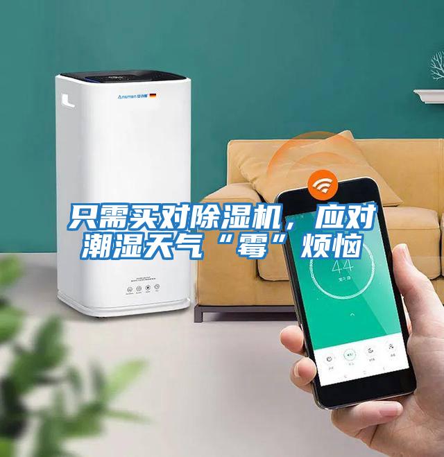 只需買對除濕機,應對潮濕天氣“霉”煩惱