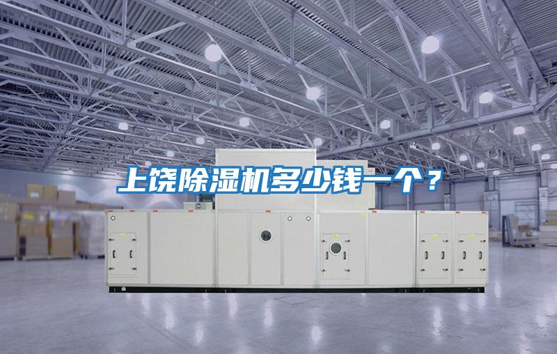 上饒除濕機多少錢一個？